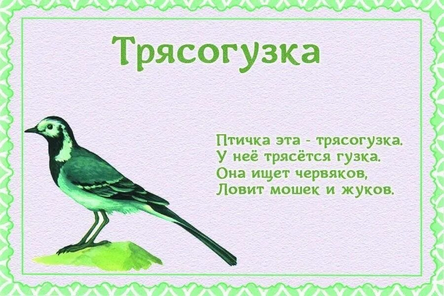 Стихотворение про птиц. Стихи про птиц для детей. стихи про перелетных птиц. стихи про перелетных птиц для детей. перелетные птицы для детей.