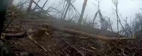 Кременная видео боев