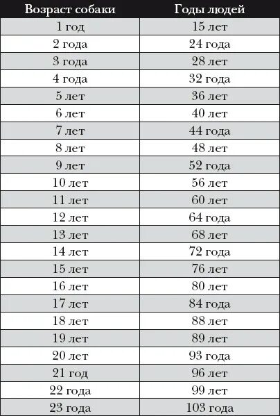13 собачьих лет в человеческих. Возраст собаки в годах. Года собаки по человеческим. Собачьи года на человеческие года. Собачий год на человеческий Возраст.