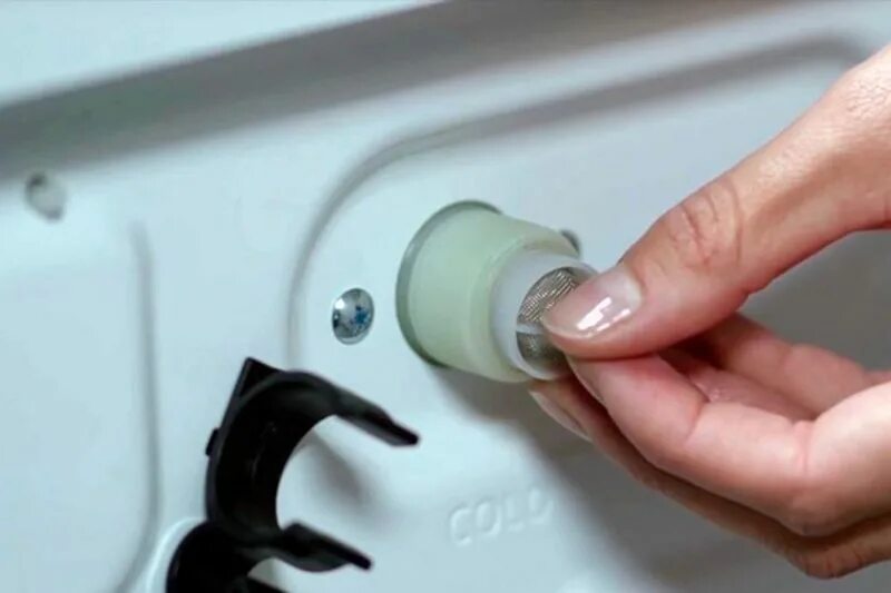 Машина не забирает воду. Фото животные в стиральной машине. Стиральная машина внутри. Стиральная машина water. Стиралка не сливает воду.