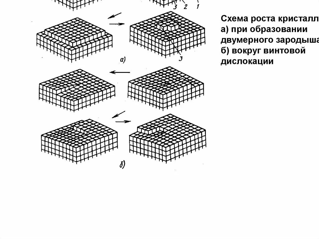 Дислокация ростов