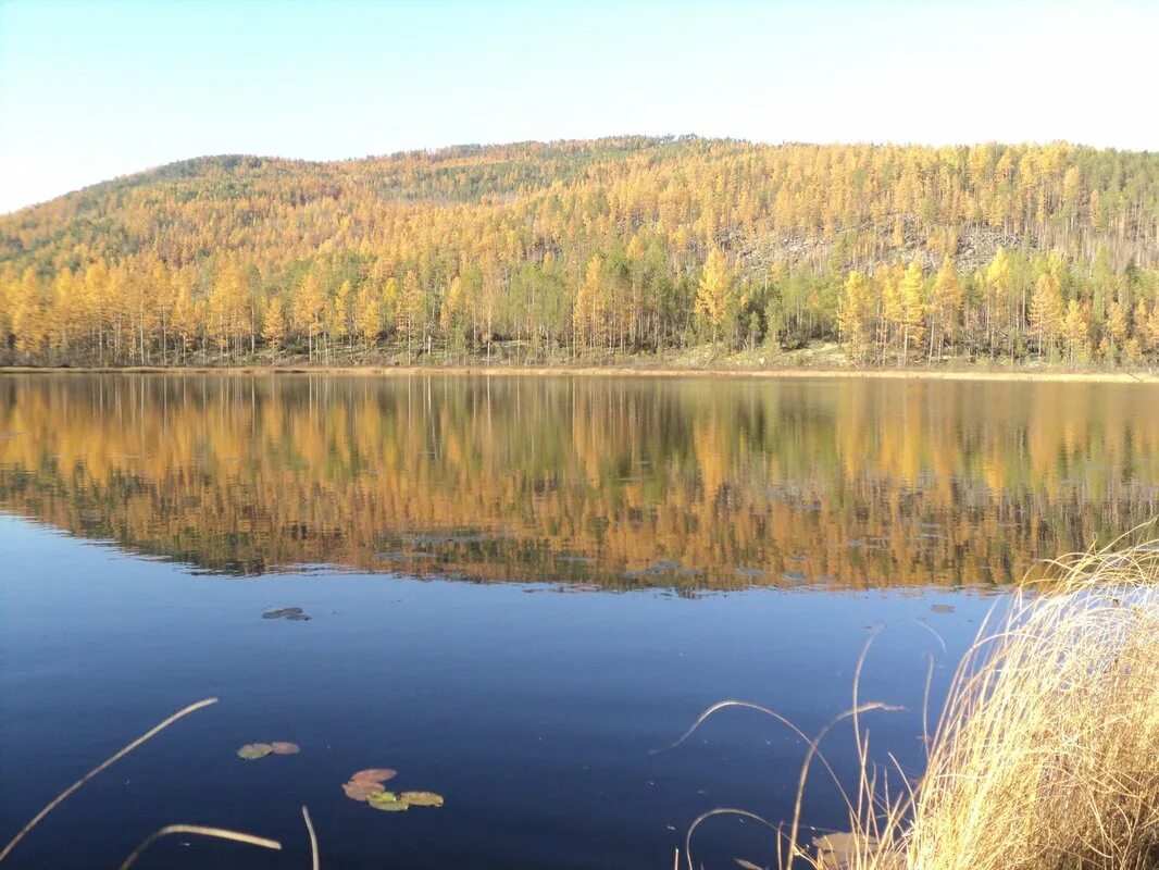 Таежное озеро Тобольск Менделеево. Озеро Таежное Тобольск Менделеево мкр. Озеро светлое Тобольск. Таежные озера Свердловской области. Озера свердловская область рыбалка