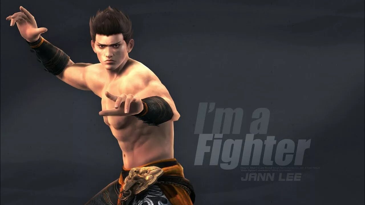 Charisma jann. Doa jann lee. doa 5 jann lee. dead or alive 5 jann lee. doa5 jann lee fighter costume.