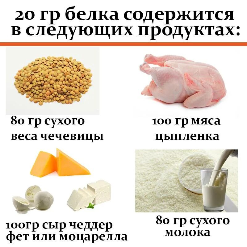 Белки продукты. Белки продукты. В каких продуктах содержится белок и протеин. Растительные продукты с высоким содержанием белка. В каких продуктах содержатся белки.