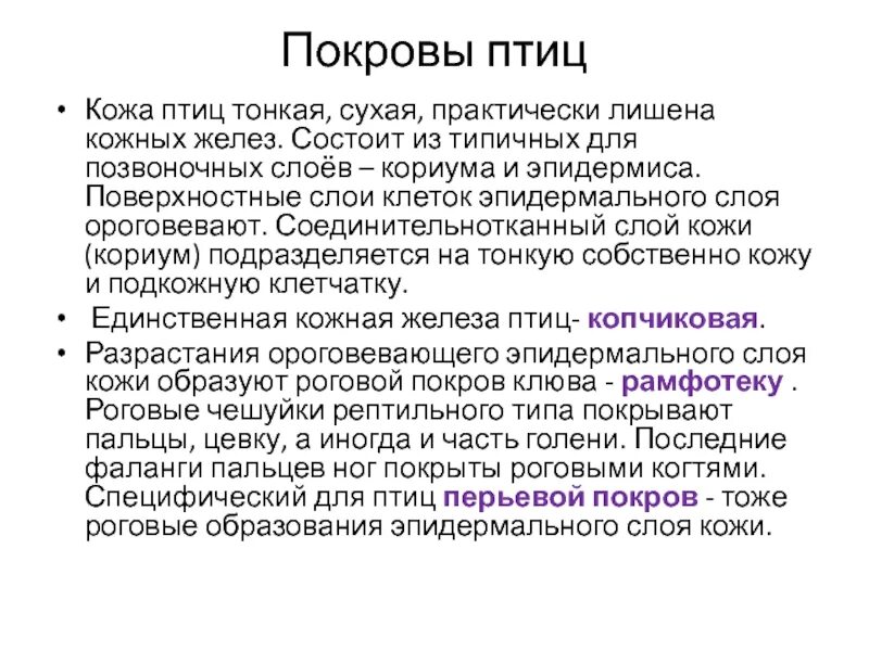 Кожа у птиц тонкая. Кожа птиц. Кода птиц. Особенности Покрова птиц. Кожный Покров птиц.