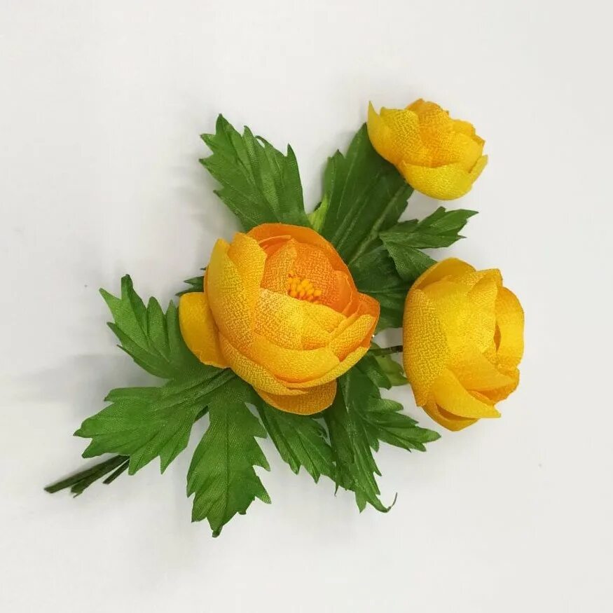 Италмас детский. Купальница orange globe. Купальница италмас. Купальница европейская лесная. Сигма парк ижевск детский центр.