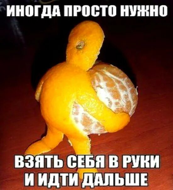 Держи мандаринку мем с девушкой в очке Stream Goldfinch01 Listen to Треш для дискорда playlist online for free on Sound