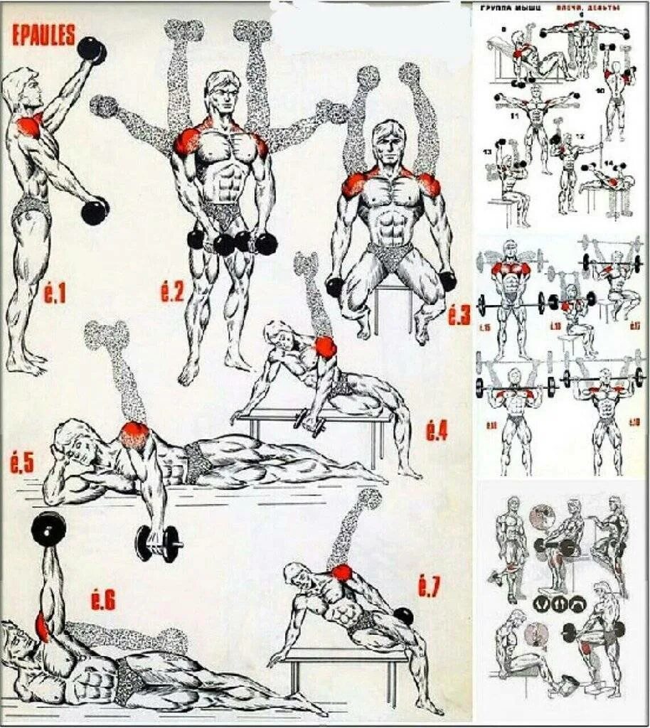 Плечи с гантелями дома. Упражнения на плечи. Занятия с гантелями. Упражнения для мышц плеч. Тренировка плеч с гантелями.