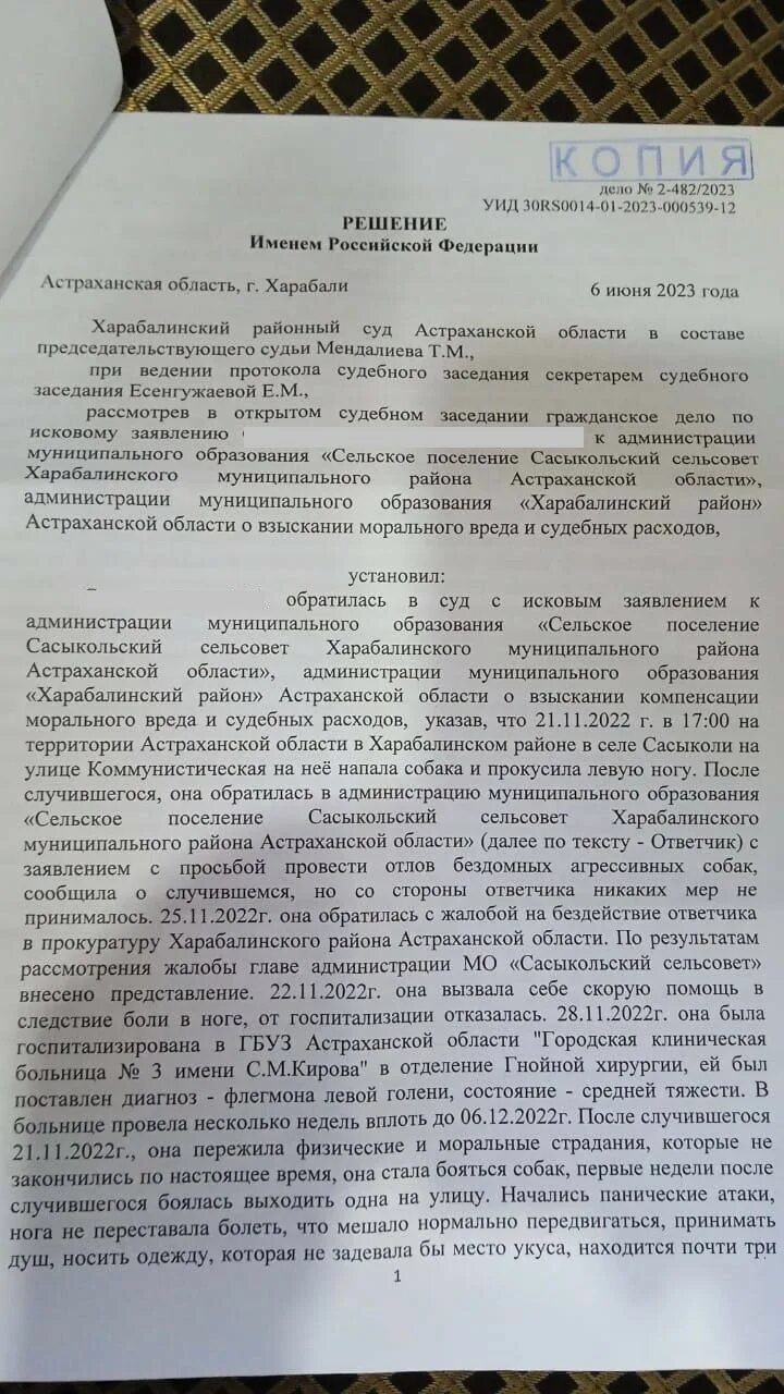 Моральный вред укус собаки. Заявление об укусе собаки в администрацию. Исковое заявление в суд покусала собака. Исковое заявление в суд на укус бездомной собаки. Порекомендовать обратится в суд.