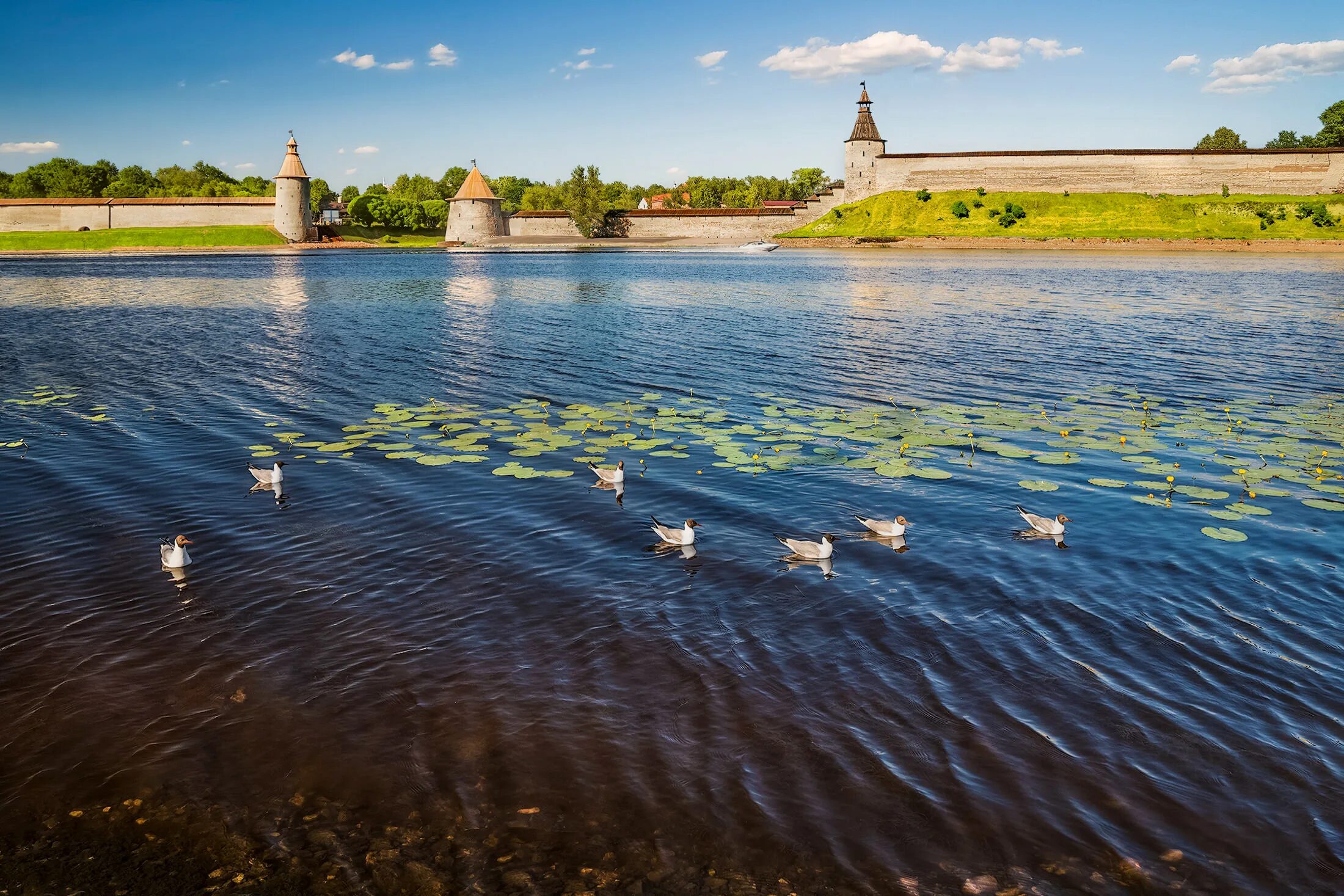 Псков расположен на реке. Река Великая Псковская область. Город Псков река Великая. Берег реки Великой Псков. Устье реки Великой Псков.