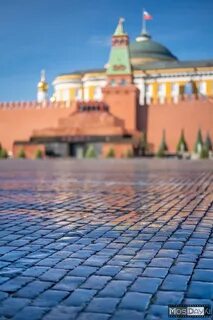 Брусчатка на красной площади
