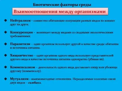 Отношения между разными видами