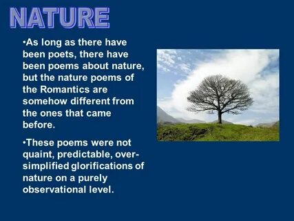 Poetry environment