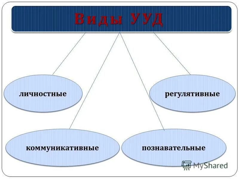 Сфера регулятивной функции