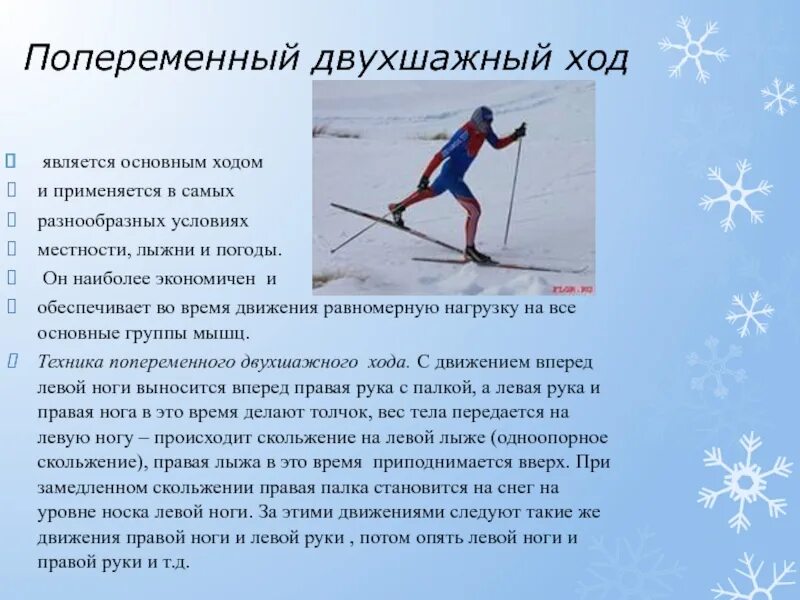 Реферат по физкультуре на тему лыжные ходы. Техника конькового хода на лыжах. Типы лыжных ходов кратко. Одновременный бесшажный классический ход. Основные классические лыжные ходы.