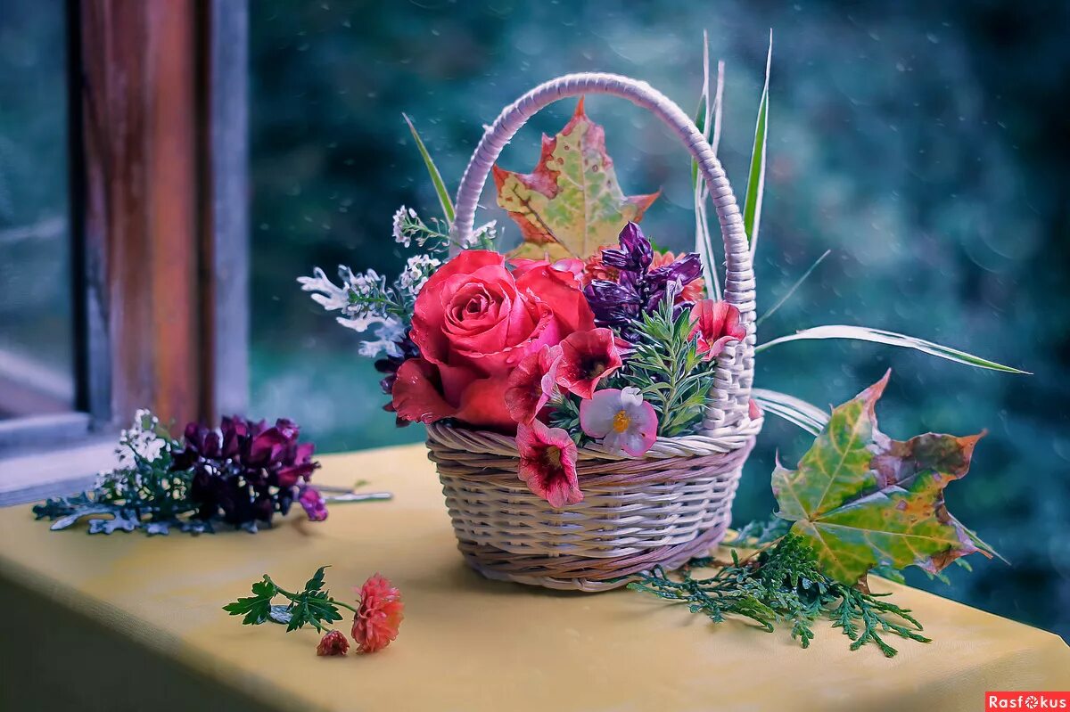 Любовь счастье радость нежность. Красивые поздравления с добрым вечером. Добрый вечер радуйся текст. Пожелания здоровья и душевного тепла. Колядка добрый вечер тоби текст.