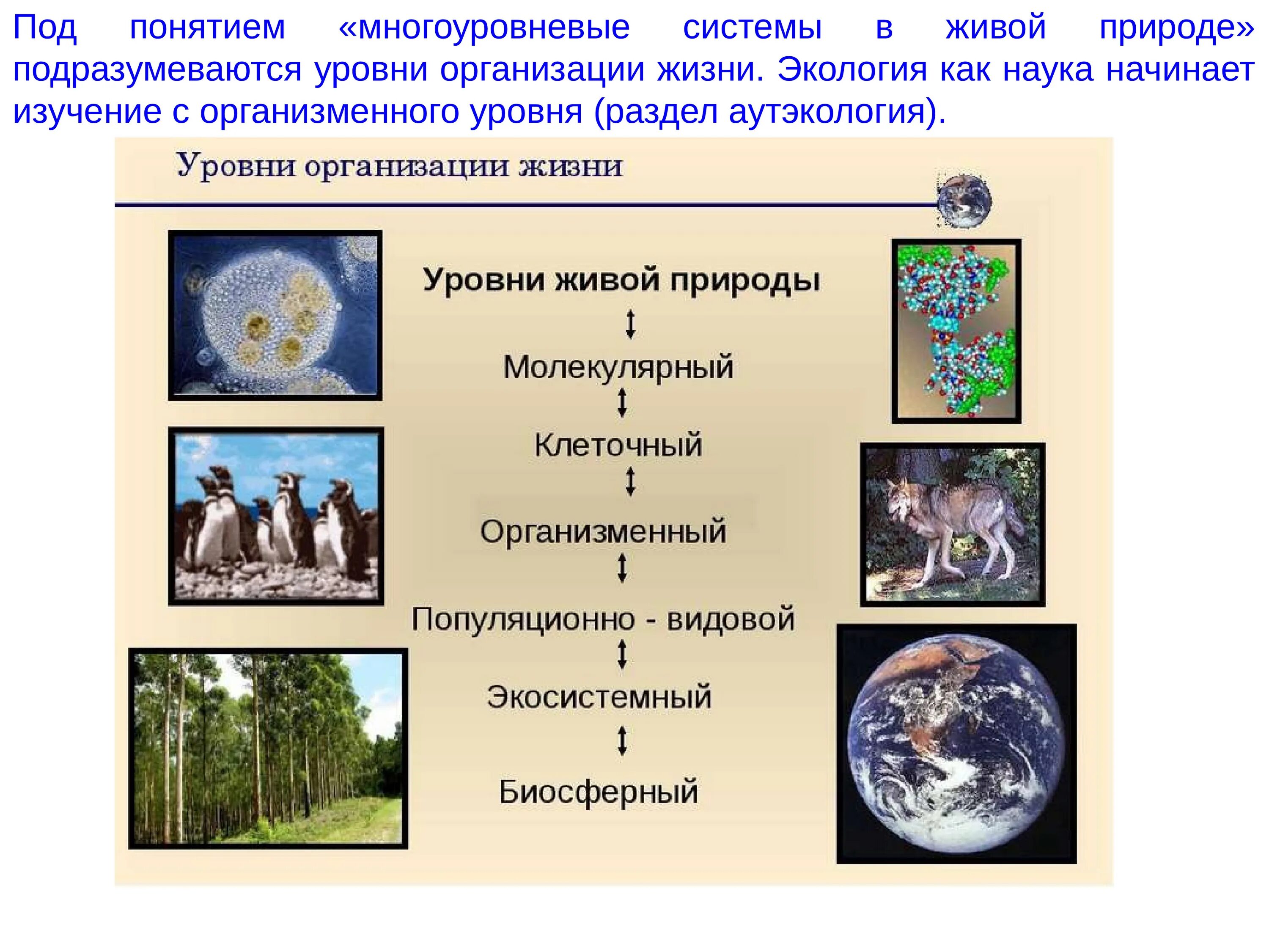 Минимальный уровень организации жизни. Уровни организации живой природы. уровни организации живого. уровни организации жизни экология. уровни организации живого экология.