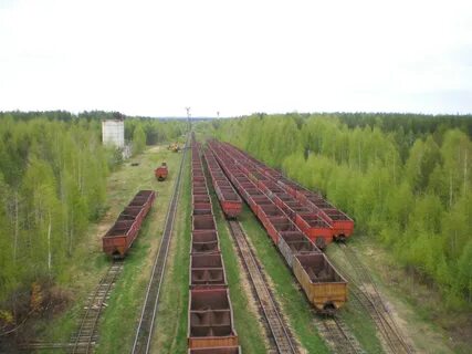 Ленинградский м