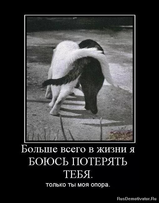 Я боюсь тебя потерять стихи. Сумерки мем. Раньше я боялась что меня могут забыть. Сумерки скажи это громко. Фразы про игнор.