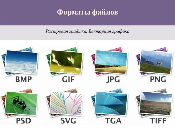 Виды графических файлов. Самые популярные графические форматы. графический файл картинка. как выглядит графический файл. форматы графических файлов в веб-дизайне.
