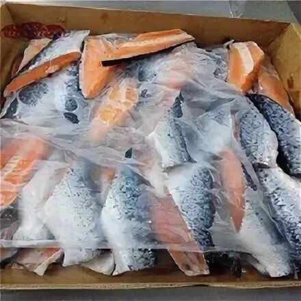 Можно ли заморозить форель свежую