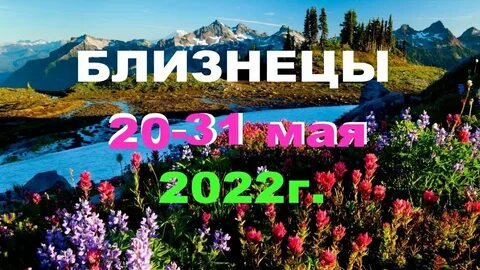 Близнецы работа 2024