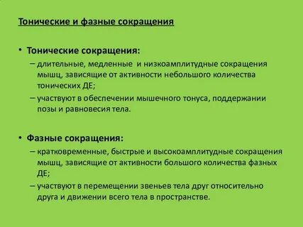 Тонические мышцы