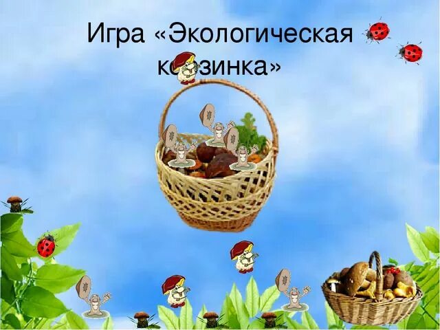 Экологическая игра 5 класс. Экологические игры. Экологическая культура игры. Экологическое лукошко аптека Айболита. Экологическое лукошко.