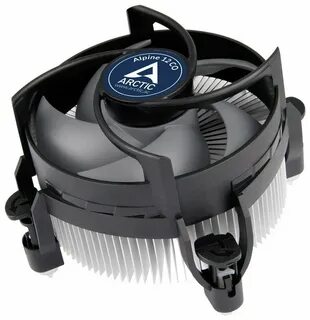 Arctic cooling alpine
