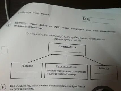 Заполните пустые ячейки на схеме выбрав слова