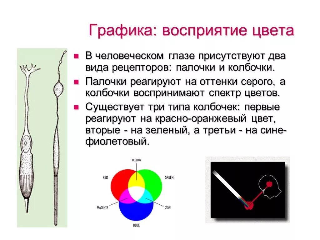 Почему видит глаз. Палочки и колбочки цвет восприятие. Колбочки палочки зрение человека. Восприятие цвета колбочками. Восприятие цветов человеческим глазом.