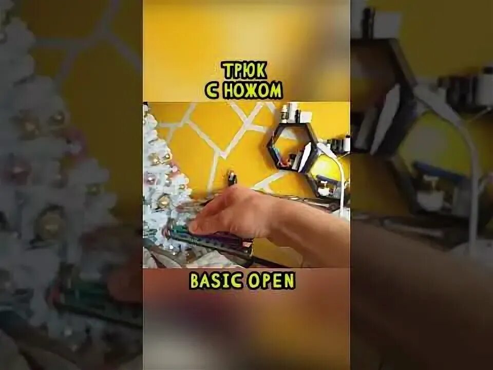 Open basic. Basic open,.