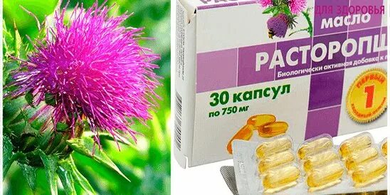 Для чего используют расторопша. Расторопша пятнистая препараты. расторопша в капсулах. расторопша пятнистая. масло расторопши для печени.