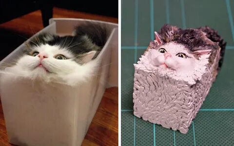 Коты мем бумаги