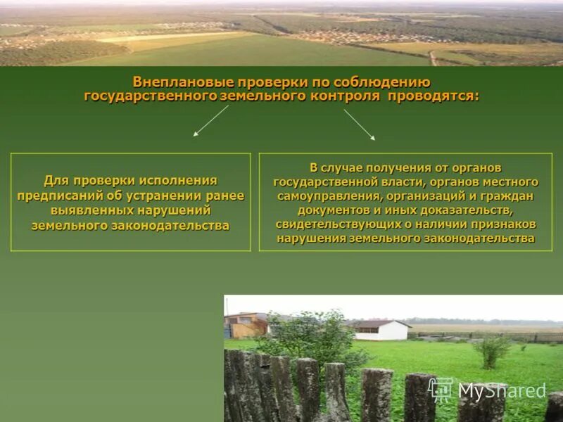 федеральные органы государственного земельного надзора. виды государственного земельного надзора.