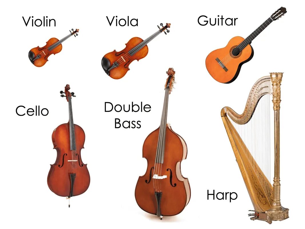 String se. Смычковые музыкальные инструменты. string musical instruments. string family instruments. болгарские музыкальные инструменты.