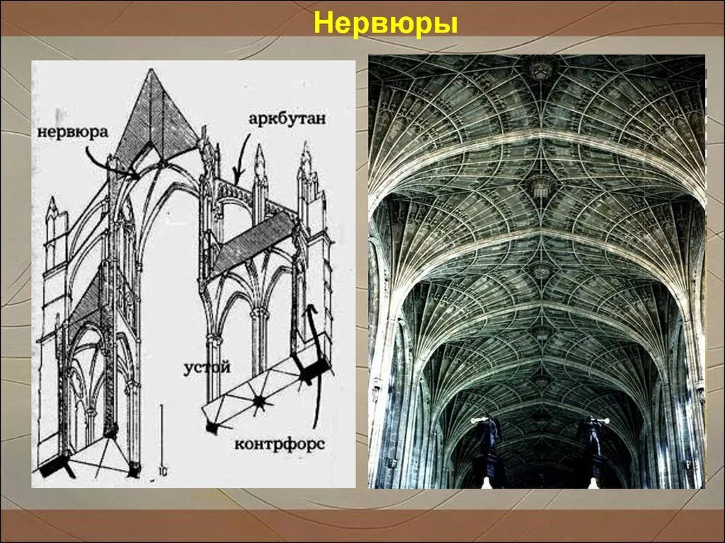 Шестигранный нервюрный свод. Нервюры в архитектуре Готика. Нервюры английская Готика. Свод это в истории