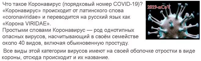 Переболела коронавирусом можно. Как появился Краона вирус. Почему называется коронавирус. Как появился коронавирус. Коронавирус болезнь.