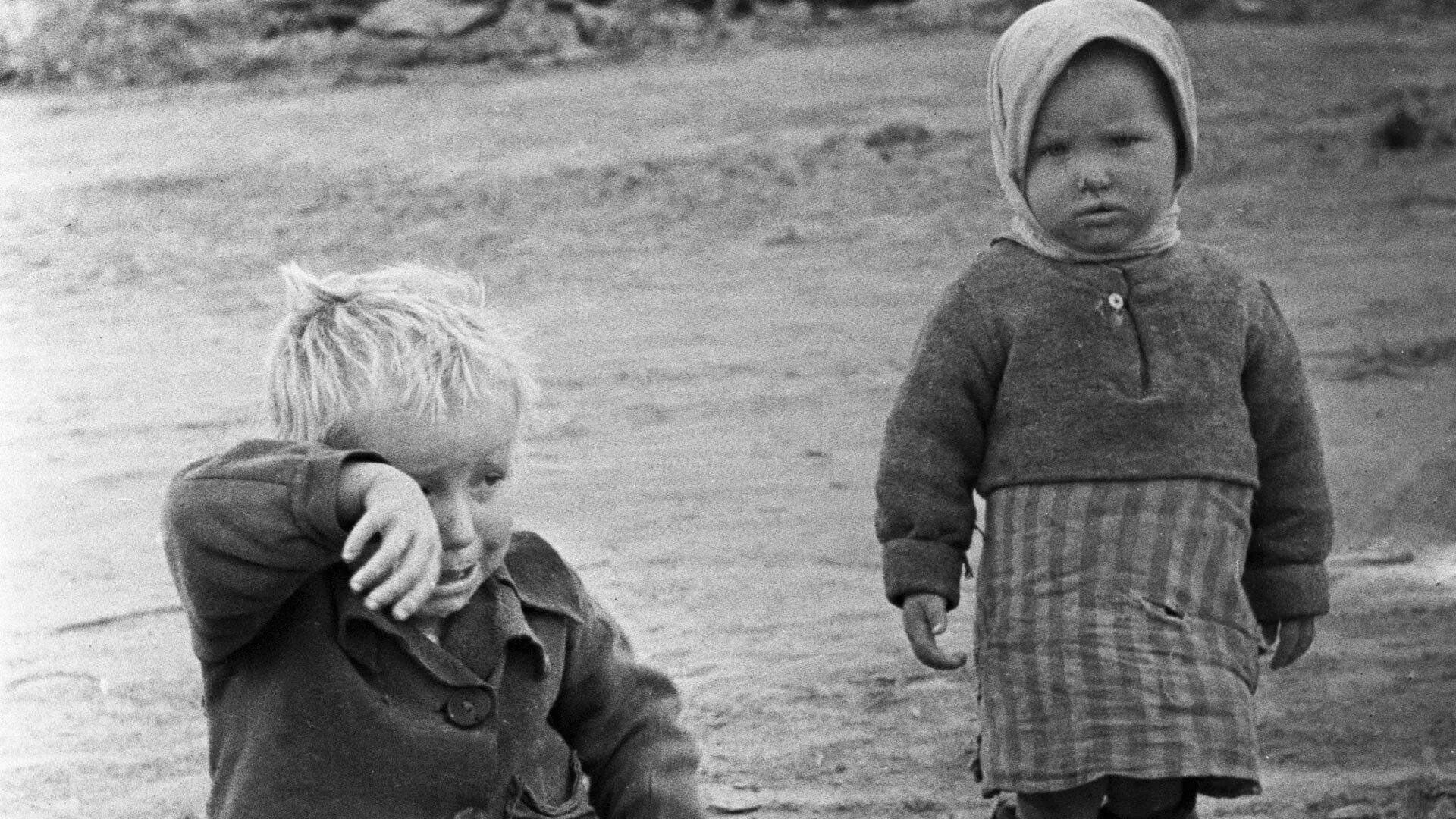 Младший брат войны. Дети- сироты Великой Отечественной войны 1941-1945.