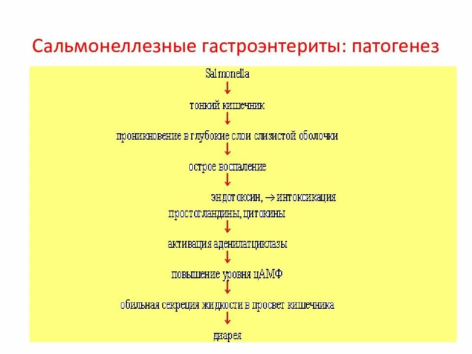 Сальмонеллезные гастроэнтериты. Сальмонеллезный гастроэнтерит. Сальмонеллезный гастроэнтерит возбудитель. Синдромы пищевой токсикоинфекции. Сальмонеллез возбудитель.