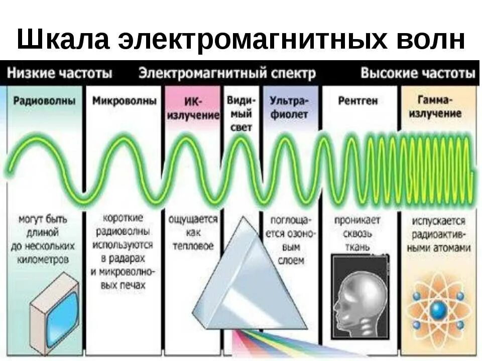 Из каких частей состоит волна