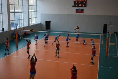 Спорт заринска