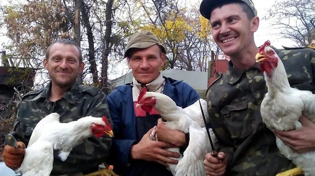 Украли петуха. Украинские солдаты мародёры на Донбассе. Украинские солдаты мародерят.