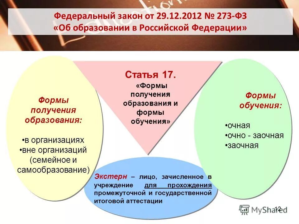 Аттестация экстерна. Формы обучения в школе по закону. Формы образования в школе. Виды семейного обучения. Формы обучения в школе по новому закону.