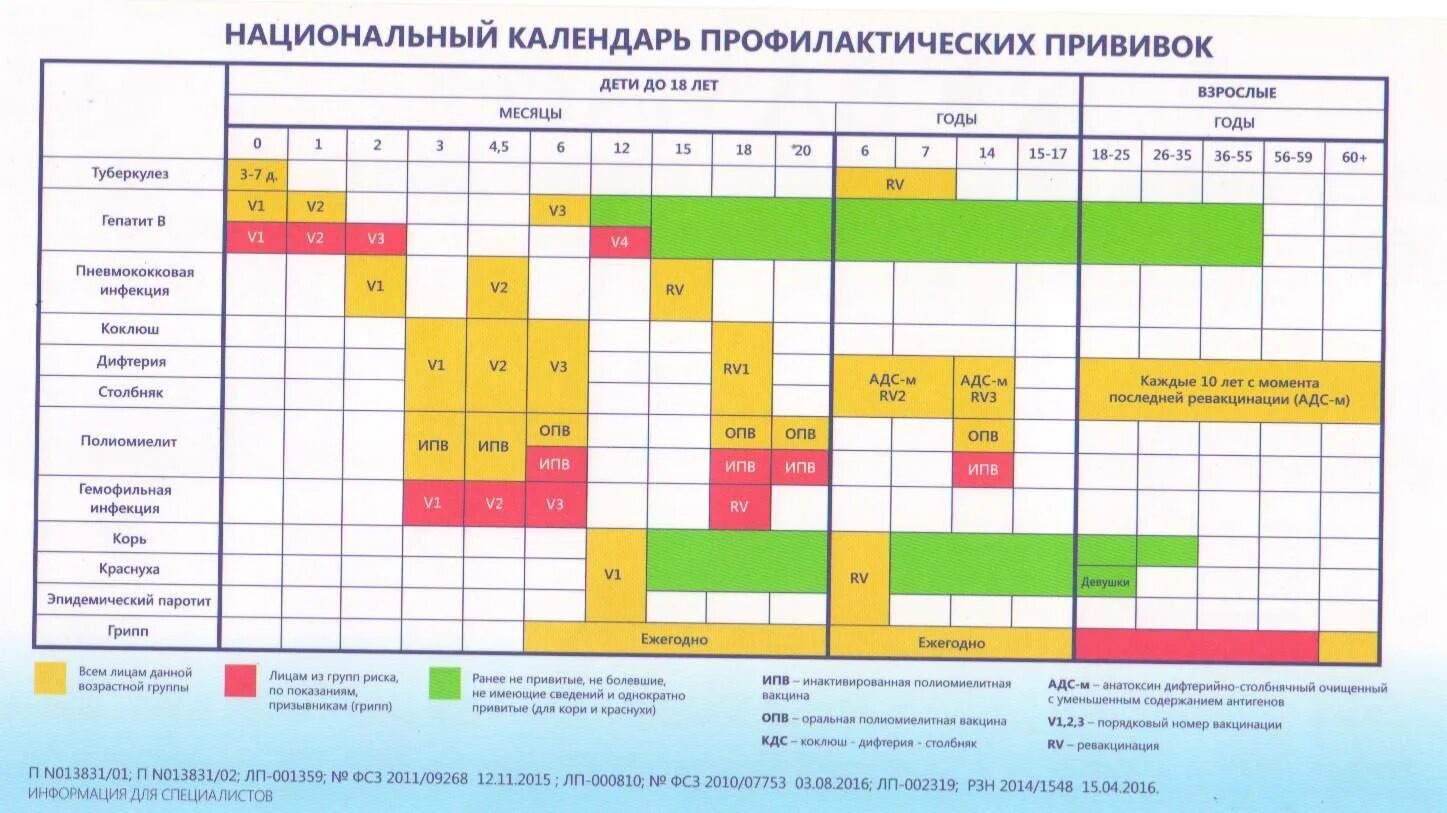 Календарь прививок для детей в россии 2024. Прививочный календарь для детей 2021. Национальный календарь прививок 2021 для детей Россия. Национальный календарь прививок для детей в России 2022 года таблица. Национальный график прививок для детей в России 2021.