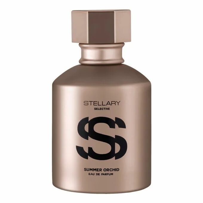 Духи стеллари фиолетовые. Духи stellary wild beauty. Туалетная вода stellary wild beauty passion. Духи stellary wild beauty mystery. Стеллари туалетная вода.