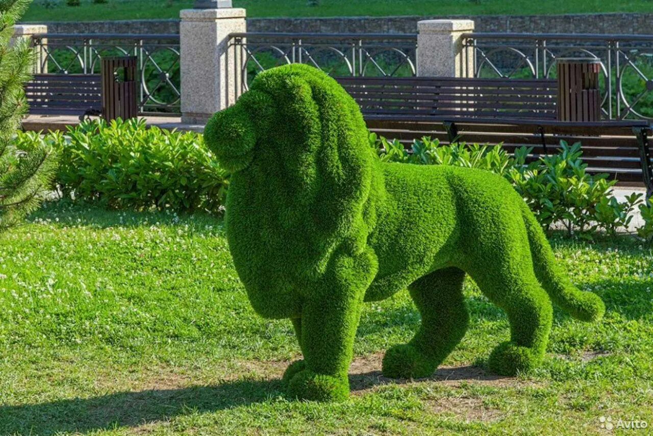 топиарная улитка. топиарий из травы. бачо павлин. топиар зеленое искусство. топиарное искусство самшит.