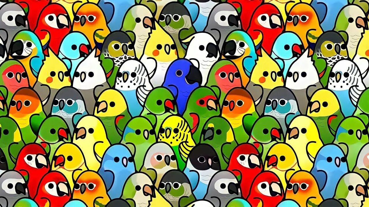 Birds как пройти. Игра too many Birds. Попугай из игры too many Birds. Андроид too many Birds!™. Мультяшный ТОО.