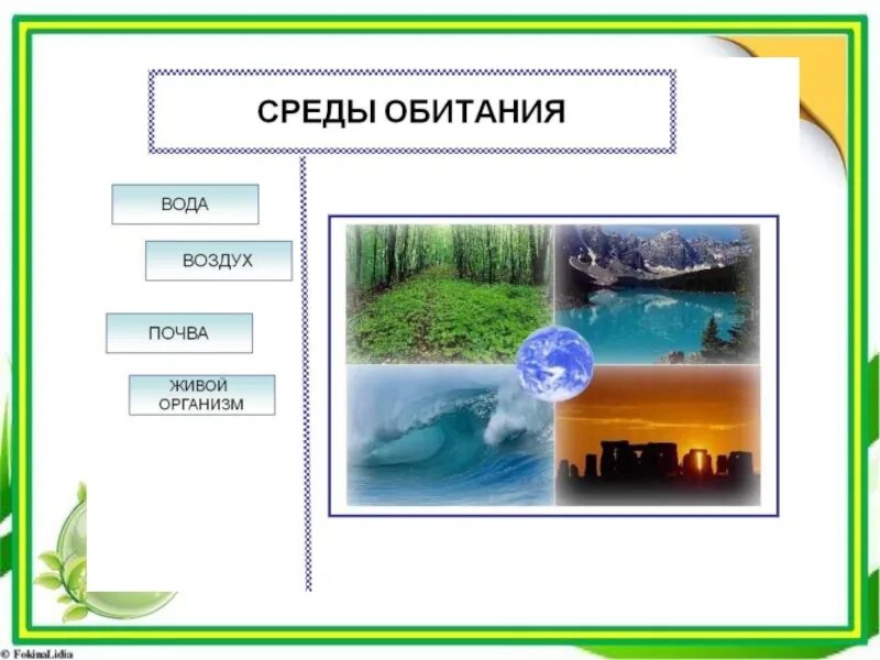 Сочетание воздуха воды. Среда обитания. Среда обитания бактерий. Среды обитания живых организмов. Среда обитания картинки.