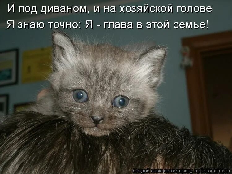 А я разве что не. Посмотрите на меня разве я не хороша. я не лапочка. я тебе не лапочка. стих посмотрите на меня разве я не хороша.